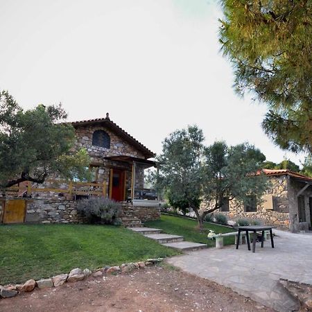 הוילה ניקיטי Kladi House Renovated 2023 מראה חיצוני תמונה