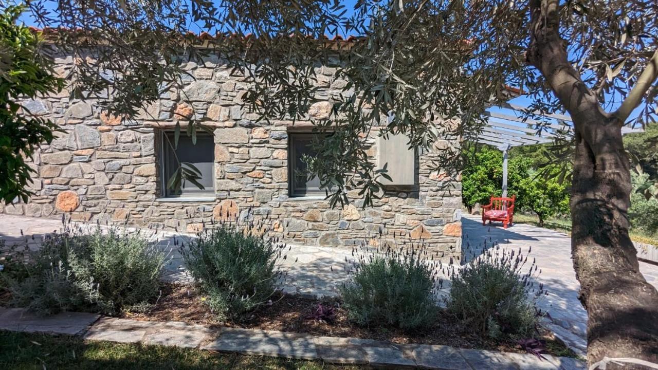 הוילה ניקיטי Kladi House Renovated 2023 מראה חיצוני תמונה
