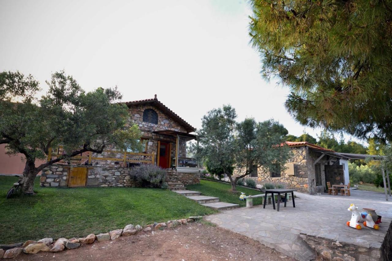הוילה ניקיטי Kladi House Renovated 2023 מראה חיצוני תמונה