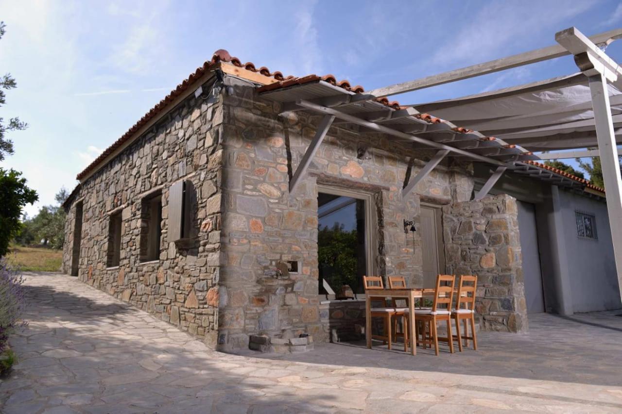 הוילה ניקיטי Kladi House Renovated 2023 מראה חיצוני תמונה