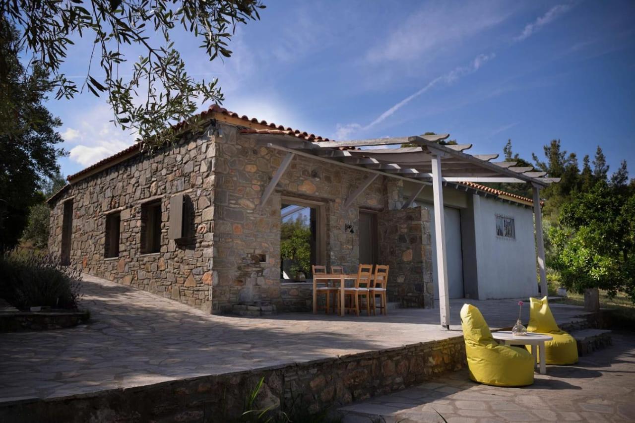 הוילה ניקיטי Kladi House Renovated 2023 מראה חיצוני תמונה