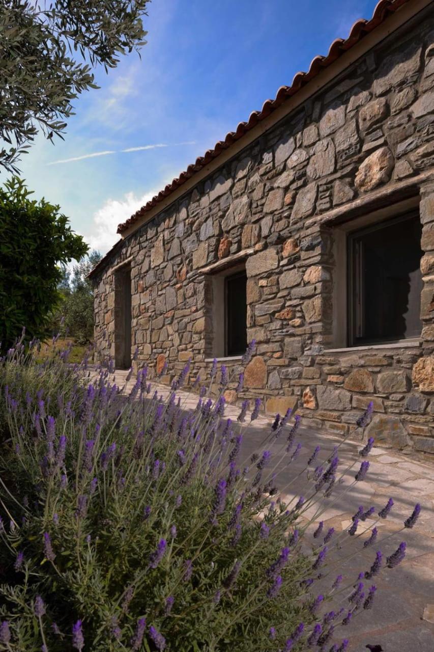 הוילה ניקיטי Kladi House Renovated 2023 מראה חיצוני תמונה
